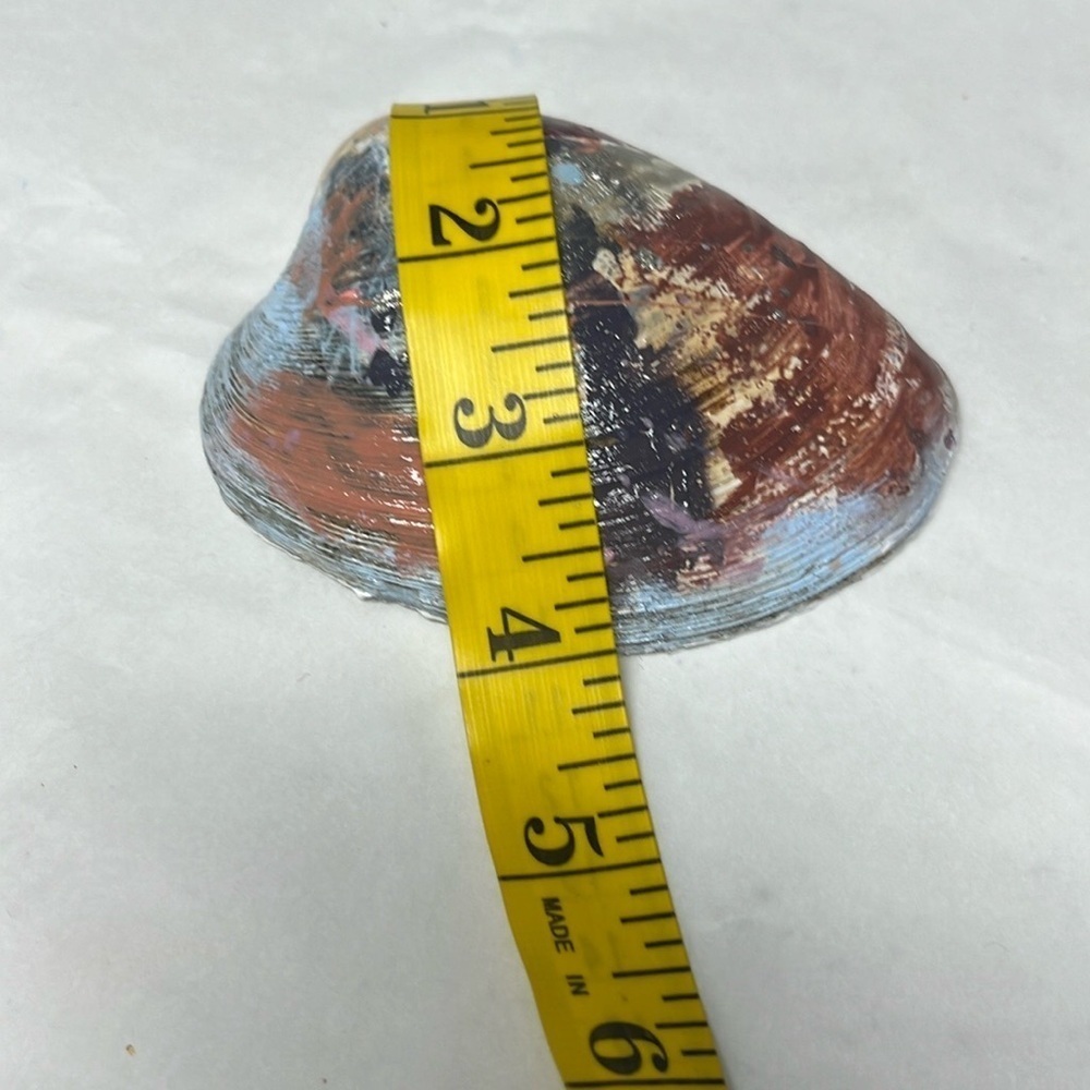 Hand Painted Decorative Shell - Picture 4 of 6
